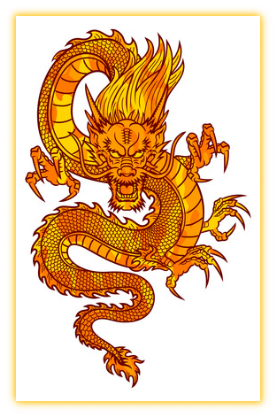 Dragon Room Information about the Dragon Room